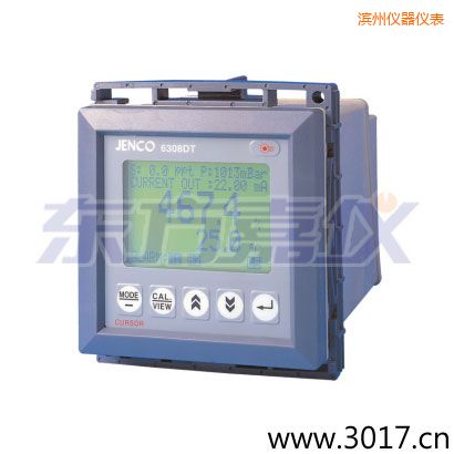 濱州工業(yè)微電腦溶氧儀