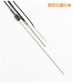 貴陽R 型和 S 型標準熱電偶