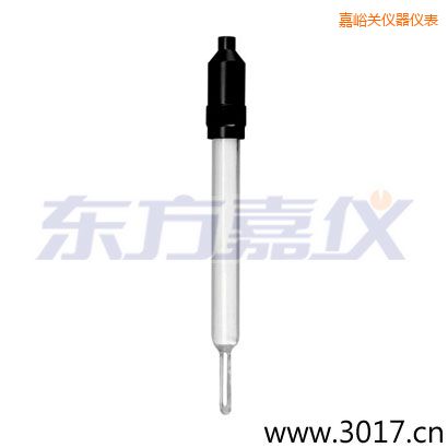 嘉峪關(guān)玻璃外殼無(wú)溫補(bǔ)兩線電導(dǎo)率電極