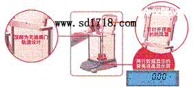 �x�����M(j��n)����ƽ,260g,0.0001g