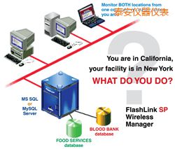 泰安軟件(桌面和網(wǎng)絡(luò)托管))