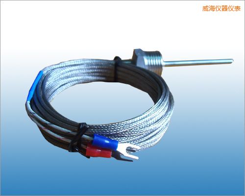 威海固定熱電偶
