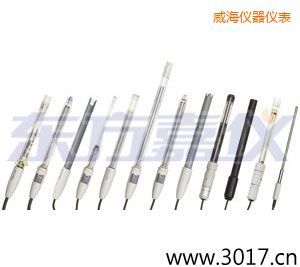 威海pH電極
