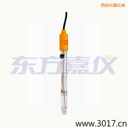 西安可填充玻璃管電極