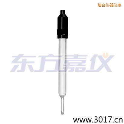 煙臺(tái)玻璃外殼無溫補(bǔ)兩線電導(dǎo)率電極