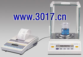 BT系列精密天平,4200g,10mg